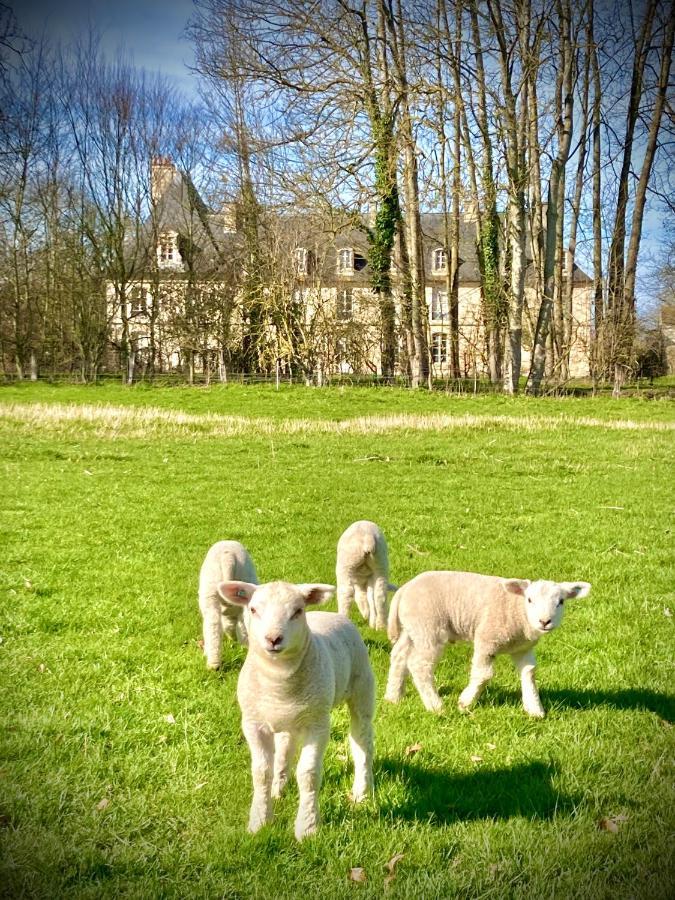 Hotel Ô saisons, ô châteaux à Cesny-aux-Vignes Extérieur photo